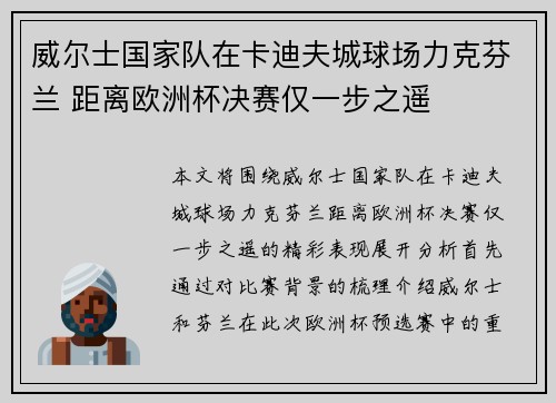 威尔士国家队在卡迪夫城球场力克芬兰 距离欧洲杯决赛仅一步之遥 威尔士国家队在卡迪夫城球场力克芬兰 距离欧洲杯决赛仅一步之遥